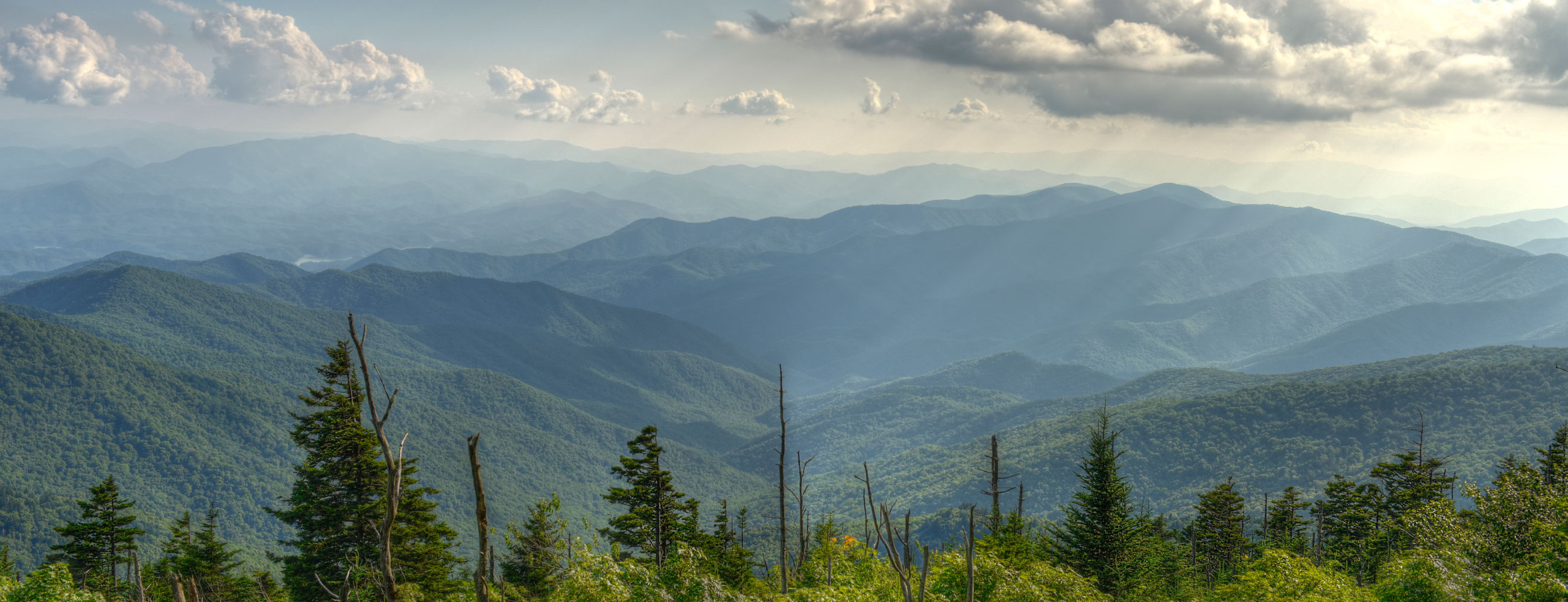 Alejandra Ganter Alejandra Ganter