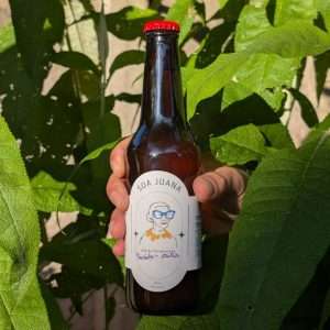 Pasión de piña 330cc