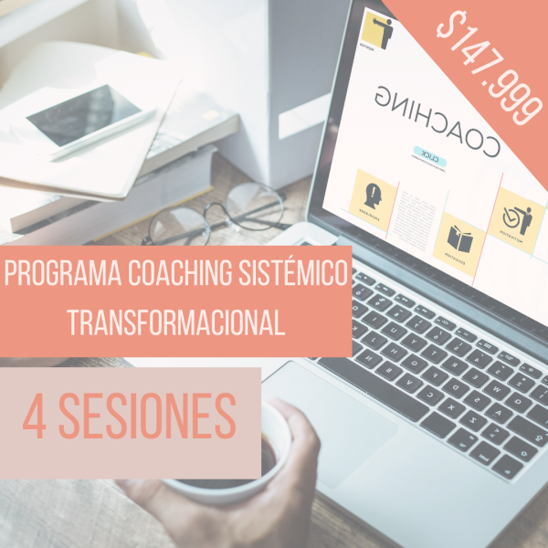 Programa de Coaching Sistémico y organizacional