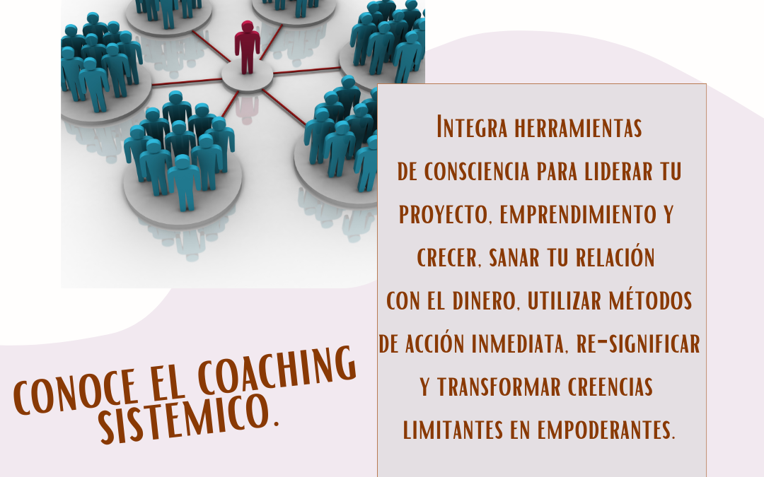 Coaching Sistémico (en base a Constelaciones Organizacionales y Familiares) 4 sesiones+ material de apoyo